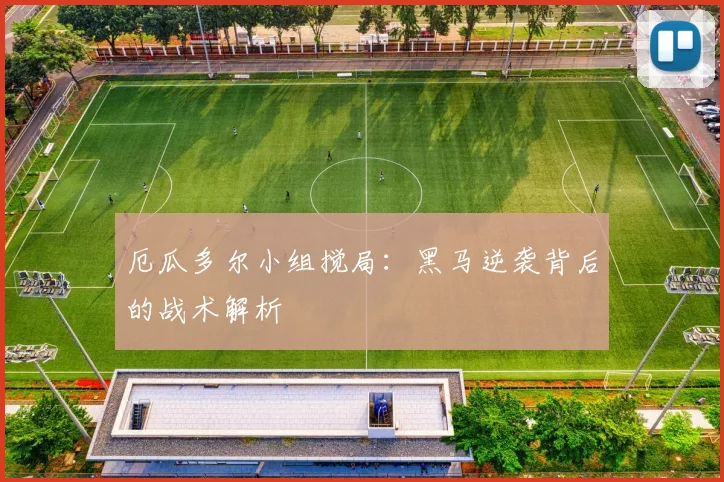 厄瓜多尔小组搅局：黑马逆袭背后的战术解析
