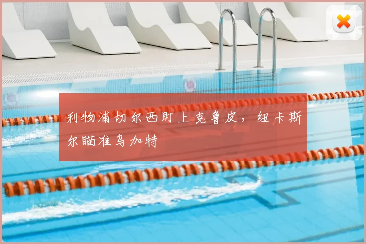 利物浦切尔西盯上克鲁皮,纽卡斯尔瞄准乌加特